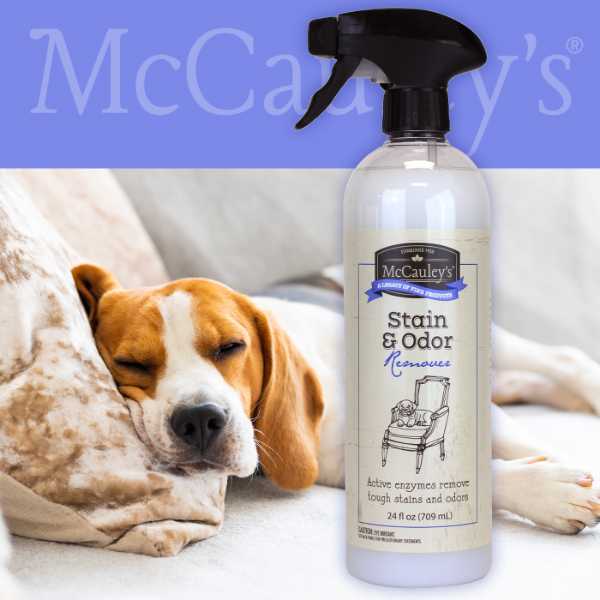 McCauley's Stain & Odor Remover